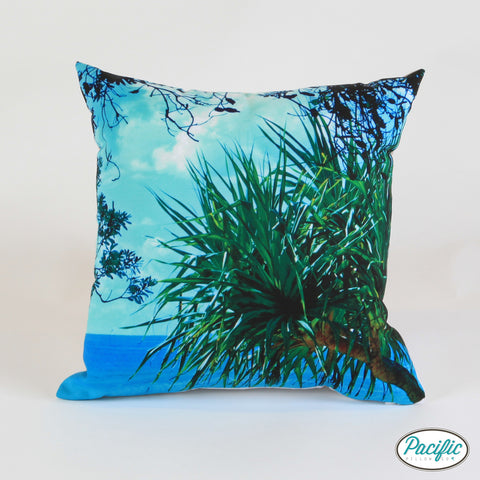 Pandanus Palms