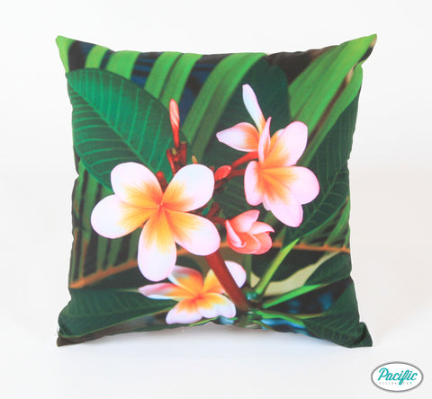 Frangipani on the Deck