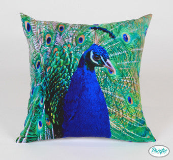 Peacock European Size